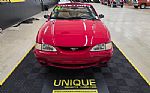 1994 Mustang Cobra Indy Pace Car Co Thumbnail 2