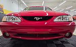 1994 Mustang Cobra Indy Pace Car Co Thumbnail 23