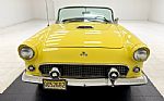 1955 Thunderbird Convertible Thumbnail 11