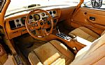1979 Firebird Thumbnail 16
