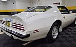 1974 Trans Am Super Duty Thumbnail 4