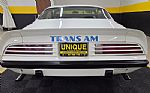 1974 Trans Am Super Duty Thumbnail 5