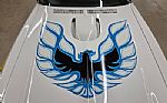 1974 Trans Am Super Duty Thumbnail 12