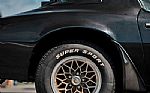 1979 Trans Am Thumbnail 22