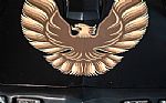 1979 Trans Am Thumbnail 23