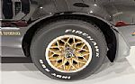 1981 Trans Am Thumbnail 18