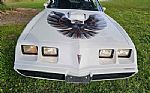 1981 Trans Am WS6 Thumbnail 2