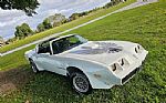 1981 Trans Am WS6 Thumbnail 4