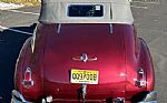 1941 Special Convertible Street Rod Thumbnail 14