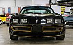 1979 Firebird Trans Am Thumbnail 13