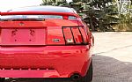 2001 Mustang GT Thumbnail 42