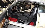 1969 Mustang Mach 1 428cj Thumbnail 6
