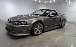 2002 Mustang Roush Convertible Stag Thumbnail 2