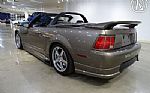 2002 Mustang Roush Convertible Stag Thumbnail 10