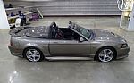 2002 Mustang Roush Convertible Stag Thumbnail 18