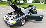 1996 Mustang SVT Cobra Thumbnail 75
