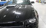 2009 Mustang Saleen S302 Darkhorse Thumbnail 64