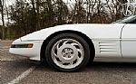 1991 Corvette Thumbnail 29