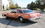1979 Thunderbird Thumbnail 8