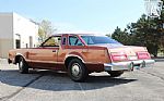 1979 Thunderbird Thumbnail 9