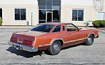 1979 Thunderbird Thumbnail 14