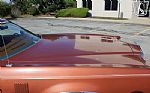 1979 Thunderbird Thumbnail 67