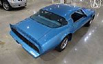 1979 Firebird Trans Am Thumbnail 15