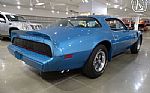 1979 Firebird Trans Am Thumbnail 16