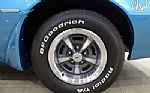 1979 Firebird Trans Am Thumbnail 49