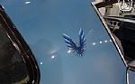 1979 Firebird Trans Am Thumbnail 67