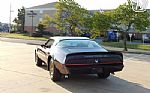 1981 Firebird Thumbnail 7