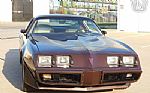 1981 Firebird Thumbnail 18
