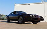 1981 Firebird Thumbnail 36