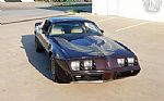 1981 Firebird Thumbnail 57