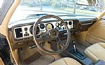 1981 Firebird Thumbnail 66