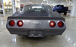1981 Corvette Thumbnail 13