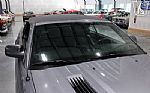 2006 Mustang Saleen S281 Extreme Thumbnail 73