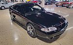 1996 Mustang SVT Cobra Convertible Thumbnail 14