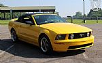 2006 Mustang Thumbnail 22