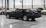 1981 Firebird Trans Am Thumbnail 3