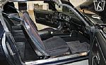 1981 Firebird Trans Am Thumbnail 7