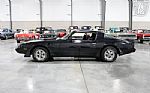1981 Firebird Trans Am Thumbnail 13