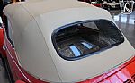 1979 Super Beetle Thumbnail 41