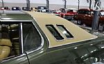 1976 Torino Thumbnail 47