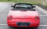 2002 Thunderbird Thumbnail 4