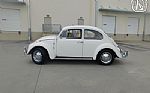 1966 Beetle Thumbnail 5