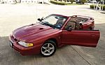 1998 Mustang SVT Cobra Thumbnail 8