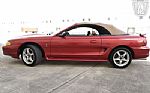 1998 Mustang SVT Cobra Thumbnail 15