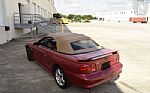 1998 Mustang SVT Cobra Thumbnail 16