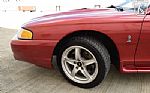 1998 Mustang SVT Cobra Thumbnail 38